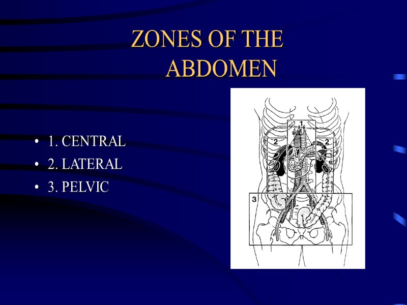 ZONES OF THE   ABDOMEN 1. CENTRAL 2. LATERAL 3. PELVIC